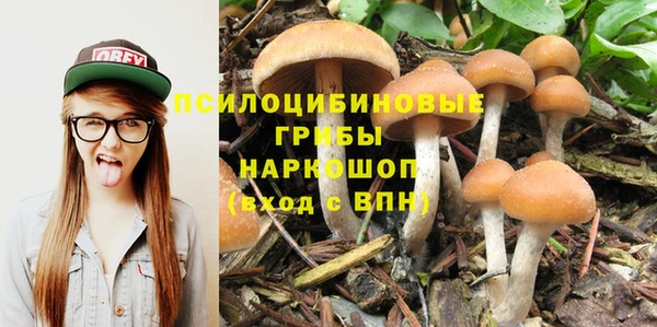 jwh Абаза