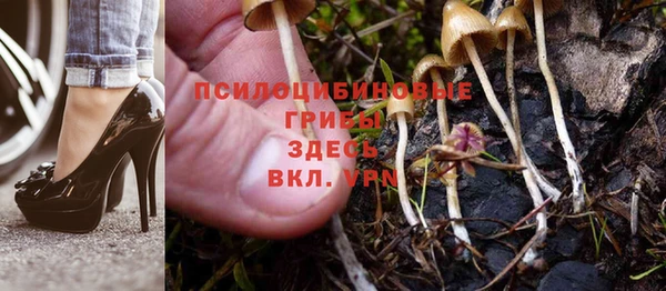 кокс Алексин