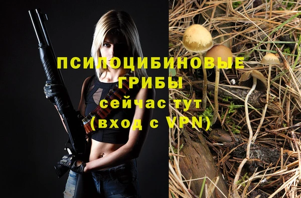 мет Абинск